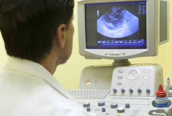 7292935f7689829c41075f26e6e1a80a.png 卵泡监测多少钱一次