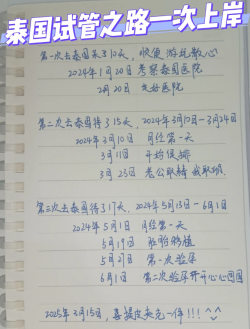 43岁，花了10个到泰国做试管生娃了
