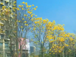 关于试管，有谁能回答一下我这个问题吗？