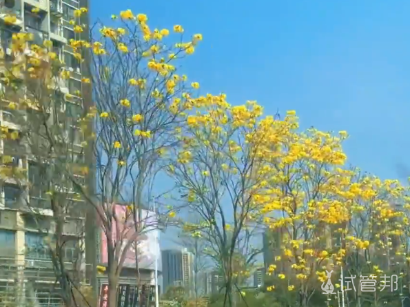 56c62751c4fb4da73eac7abdb20a9e38.png 关于试管有谁能回答一下我这个问题吗