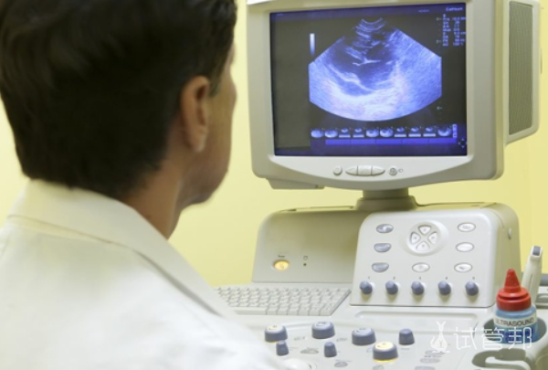 ab593b95f3070eb64b90e6a1613a0a37.png 优势卵泡一般有几个