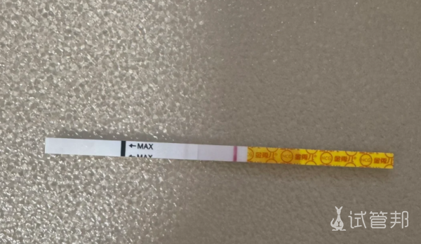 3695768b770acae7ccc1f1e05bf10108.png 冻胚移植的姐妹都是多久测出来的