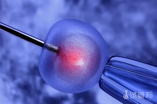 7ab7d7d5a953474b482d89fe114029e1.png 染色体异常能治好吗