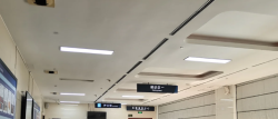 开始试管了，预约下个月进行显微取精