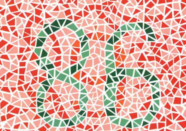 5940b59df3f9461775290ae572b91cc2.png 色盲色弱检测图