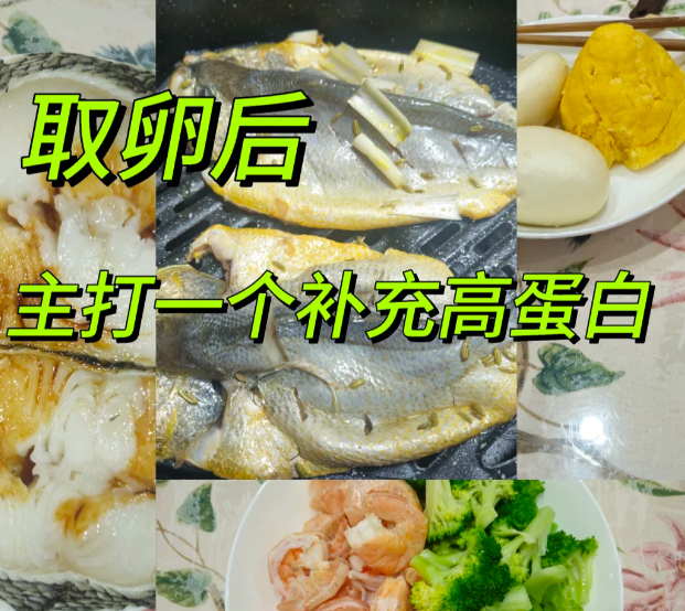 取卵后一定要保持高蛋白饮食
