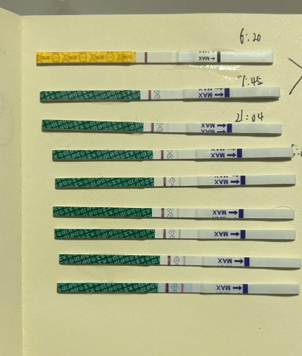 囊胚移植后第8天验孕成功