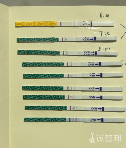 5385a7dfed9cc3323049ec224d5610d0.png 囊胚移植后第8天验孕成功