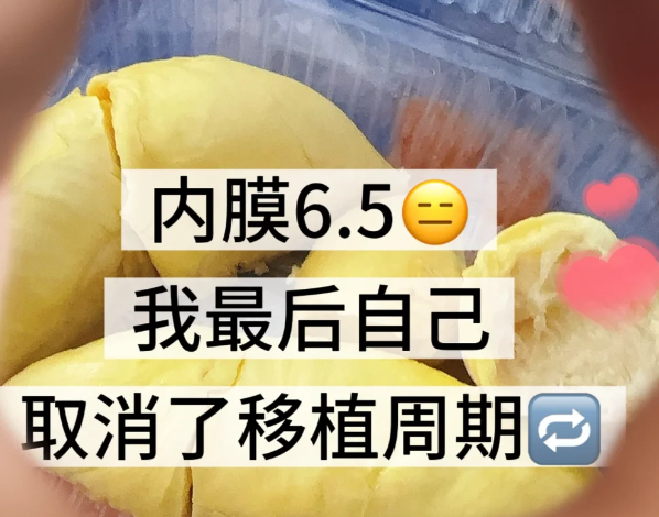 决定暂时取消移植