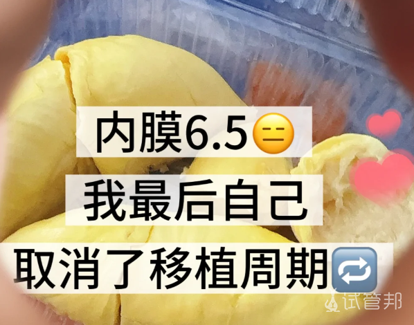 249bcffb2bff806db676a79bd8b51f00.png 决定暂时取消移植