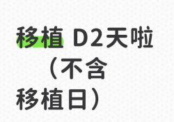 已经是移植后第2天啦，心里有点没底