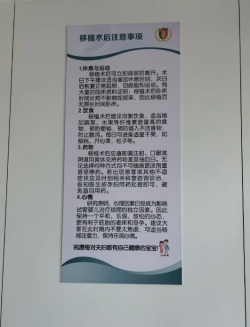 终于走到了移植环节，宝宝快点儿来！