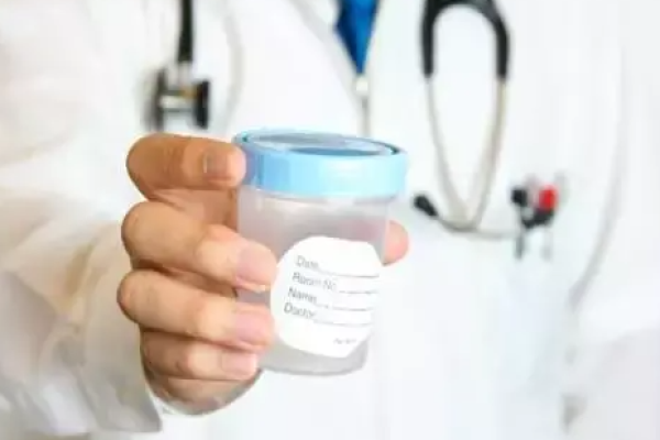 精子活力低可以吃什么药