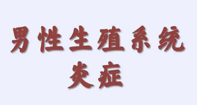 睾丸炎该怎么办