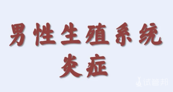 98ed91f32a6db8bdeec3d10c77f64cea.png 睾丸炎该怎么办