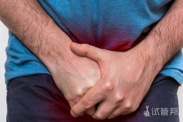 9158950add07f800030552232045aa48.png 早泄会不会影响生育能力