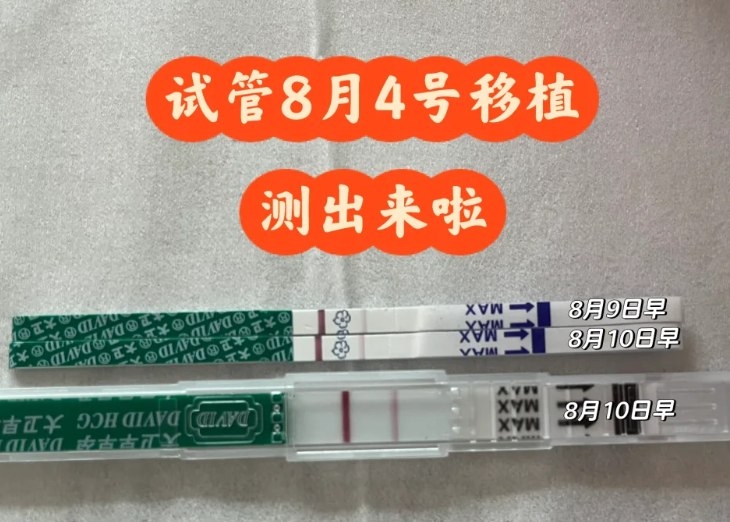 囊胚移植第5天就测出双杠