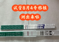囊胚移植第5天就测出双杠！一促二移终于上岸啦！