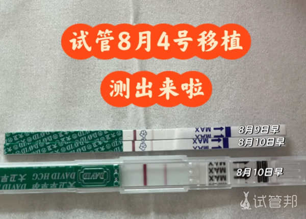 2ce0940eb7f8426e51227487254652cc.png 囊胚移植第5天就测出双杠