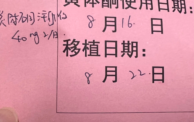 种植窗周期全记录