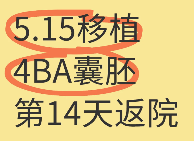 一促一移成功上岸