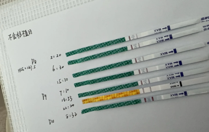 独苗囊胚奇迹上岸