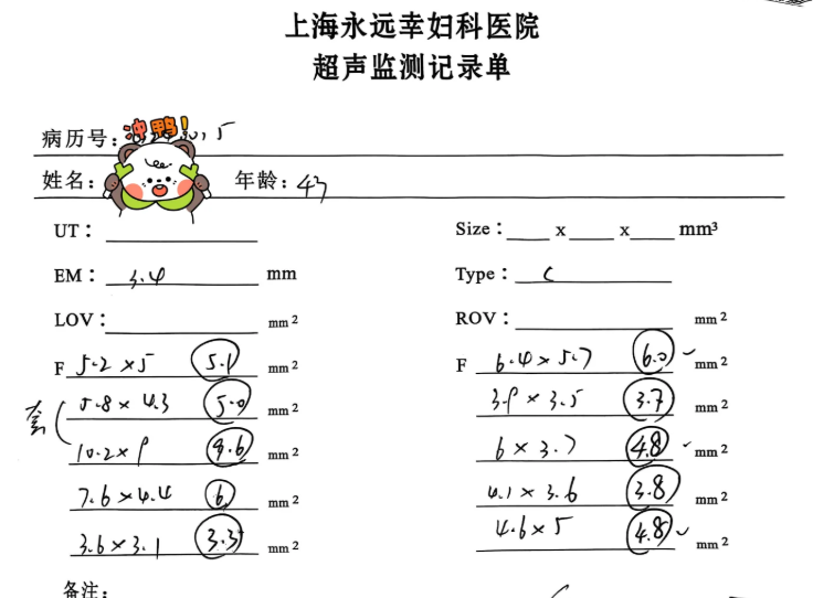 e54655af8b16e54815b4bce22c84395e.png 上海永远幸二促启动