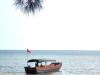 titi的中国之旅