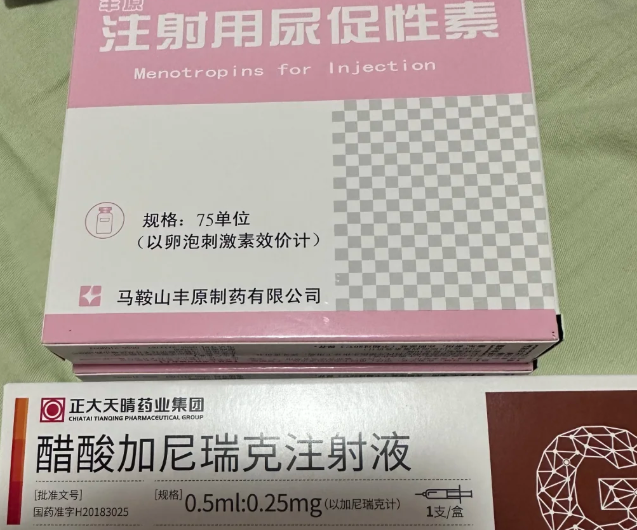 试管促排干货来曲唑服用方案大公开