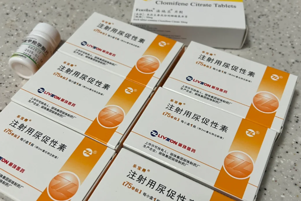 试管避雷被强开进口促排药的血泪教训