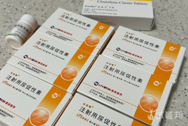 8d6d36d38b2984dc69314f21d935b229.png 试管避雷被强开进口促排药的血泪教训