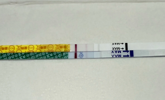 试管移植后必看我的14天黄金保胎指南