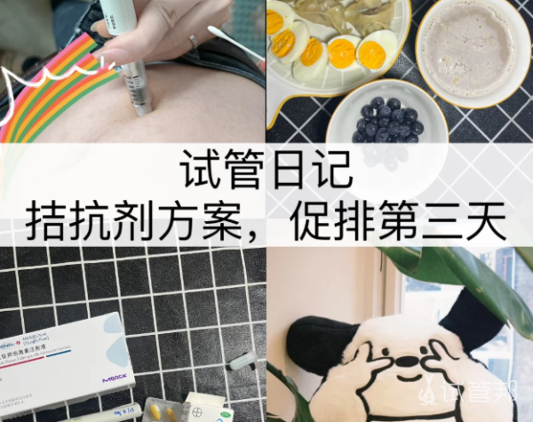 4011ef54f4719182e3dcb35654867bf3.png 促排Day3果纳芬真的不疼