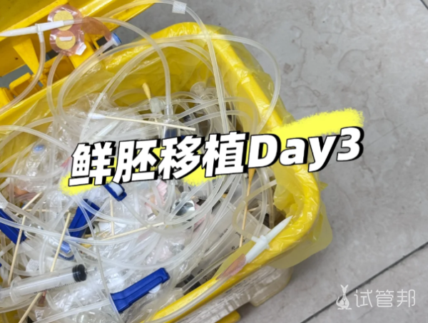 8d5c04f35992f6638a7542feb5f03571.png 移植D3小腹刺痛=着床信号