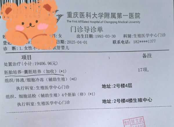 重医试管Day3胚胎结果出炉