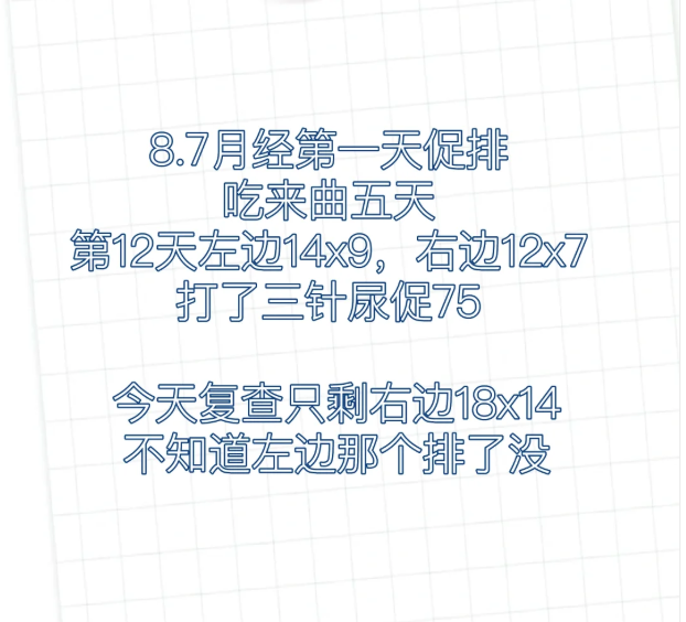 促排惊魂左边卵泡突然消失
