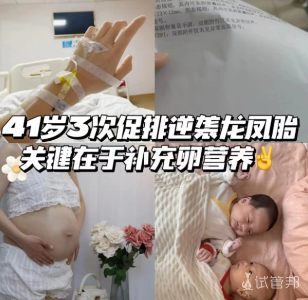 4b62db1ac343ecc894054dbdcf8b28e5.png 41岁三促逆袭龙凤胎