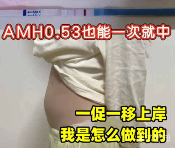 0d9c3009abf52a0d0c2a5a0d948c44b1.png AMH0.53逆袭成功