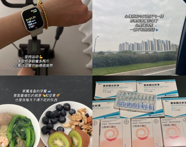 定移植日啦试管进度60%可黄体酮打到怀疑人生