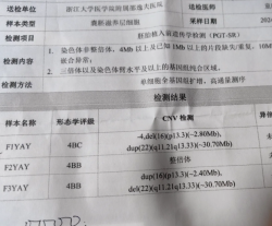 胚胎筛查报告出炉那一刻，我手抖了！！
