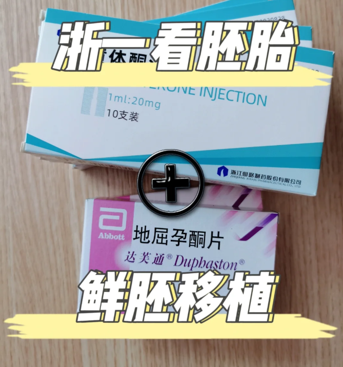 鲜胚移植全记录10分钟搞定