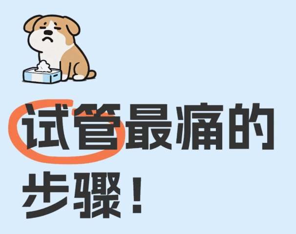 试管最痛环节竟是它