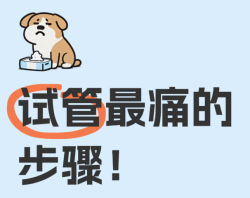 试管路上最漫长的痛：黄体酮针！这些减轻痛苦的秘诀，真希望有人早点告诉我！