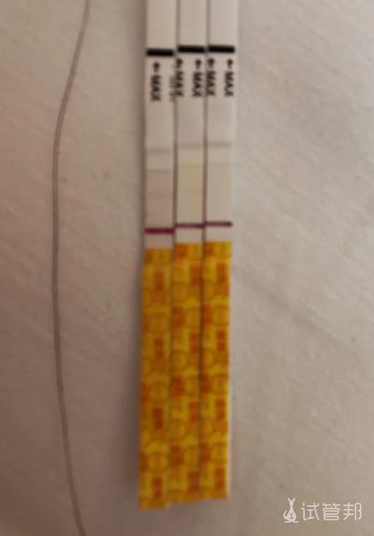 edbe068653b36249e8ed4c2317352c78.png 试管移植第六天测到双杠