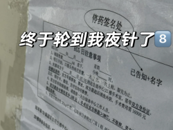 试管姐妹必看！促排12天圆满‘毕业’，我的庆祝方式是杀去厦门半日游！