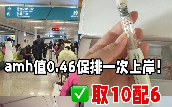 30+早衰AMH0.46取10配6一次成功抱娃