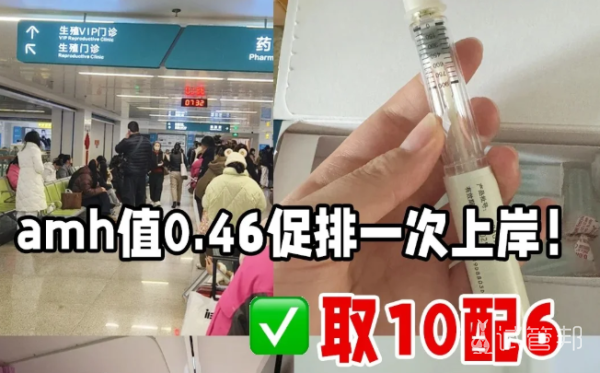 bdfe70d9068b8ce08cecf52a1226507e.png 30+早衰AMH0.46取10配6一次成功抱娃