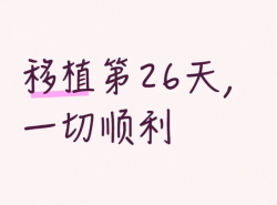 试管一超顺利过关！来接热乎乎胎心胎芽啦！