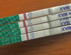 92年多囊6次促排+试管失败，我依然坚定要做试管！