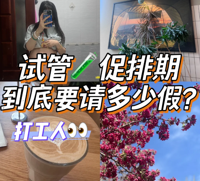 试管促排期请假攻略打工人高效省假技巧